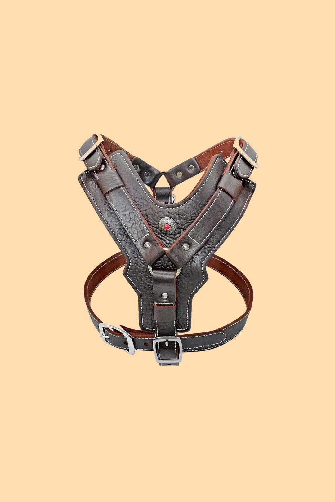 Leather Dog Accessories
