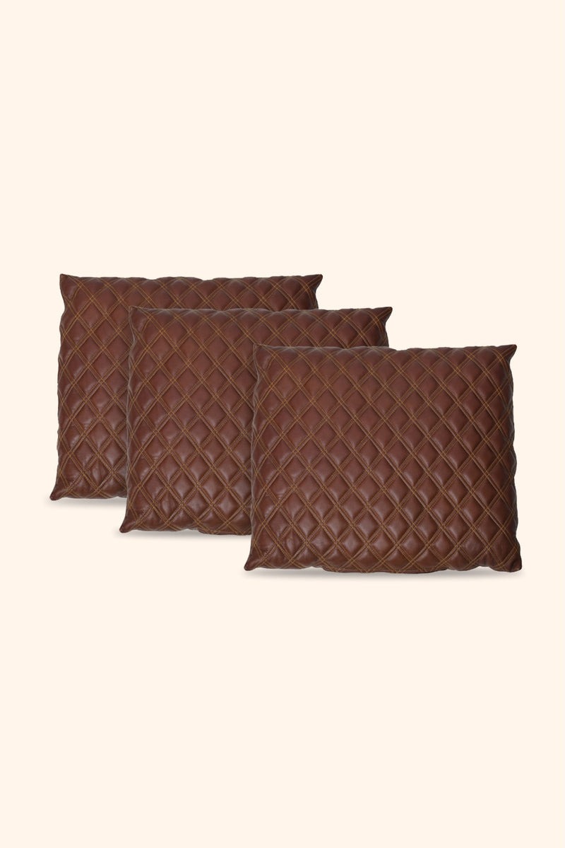 Leather Cushions