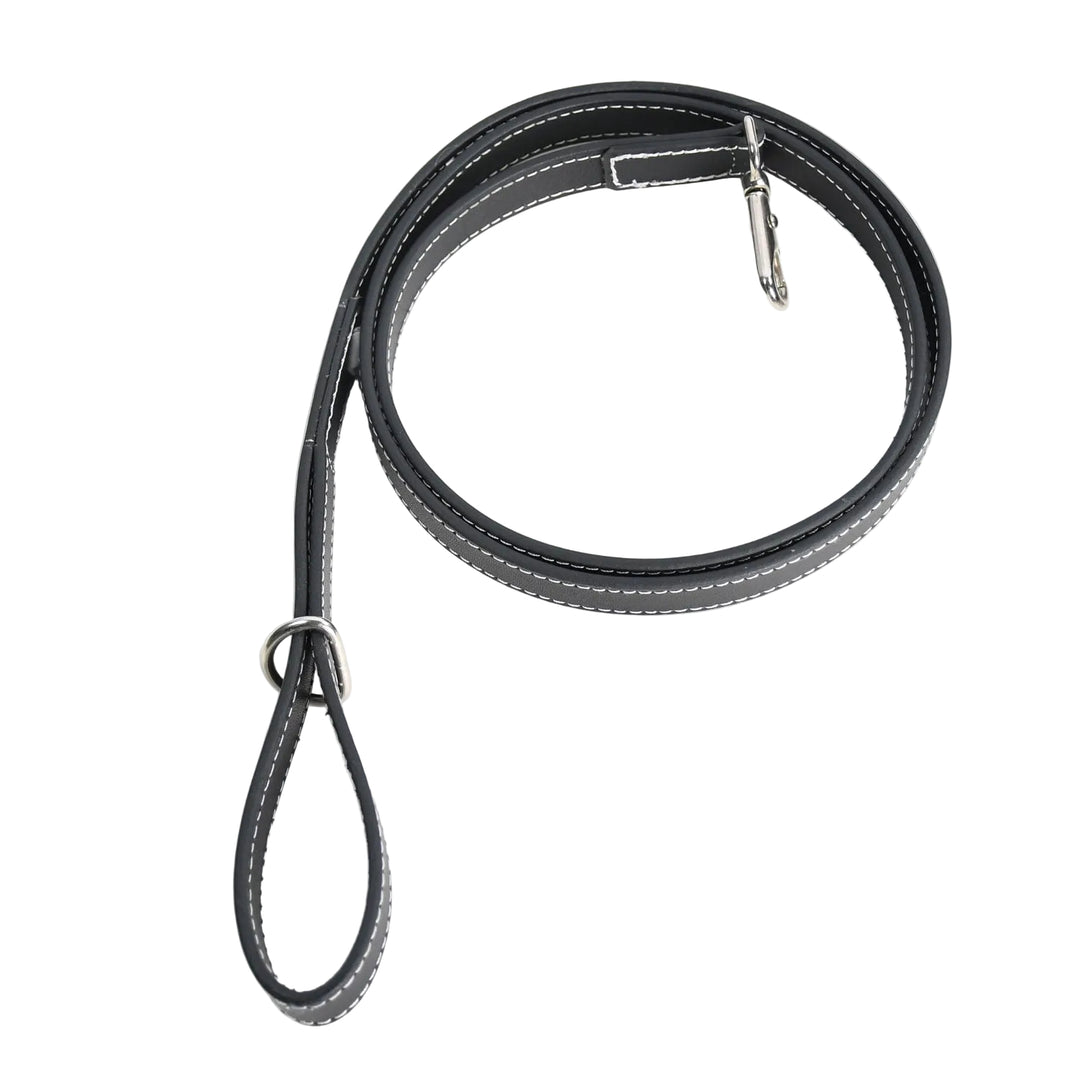 Black leather dog leash with metal clips on a white background

