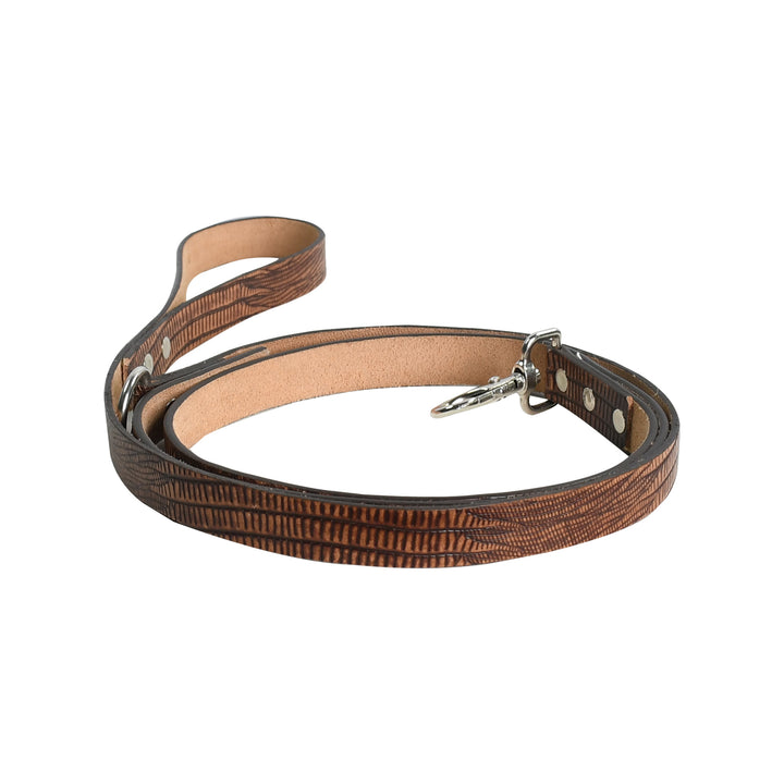 Brown leather dog leash on a white background

