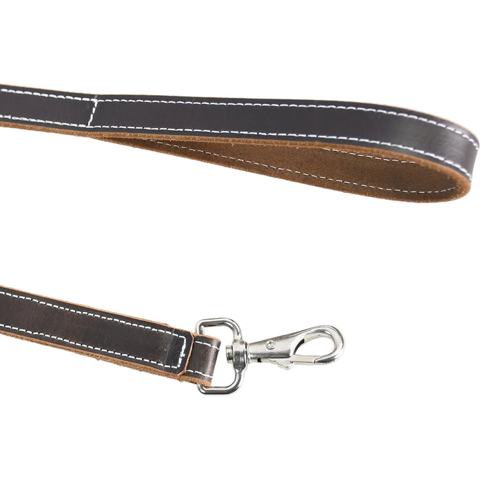 Dog leash with metal clip on a white background

