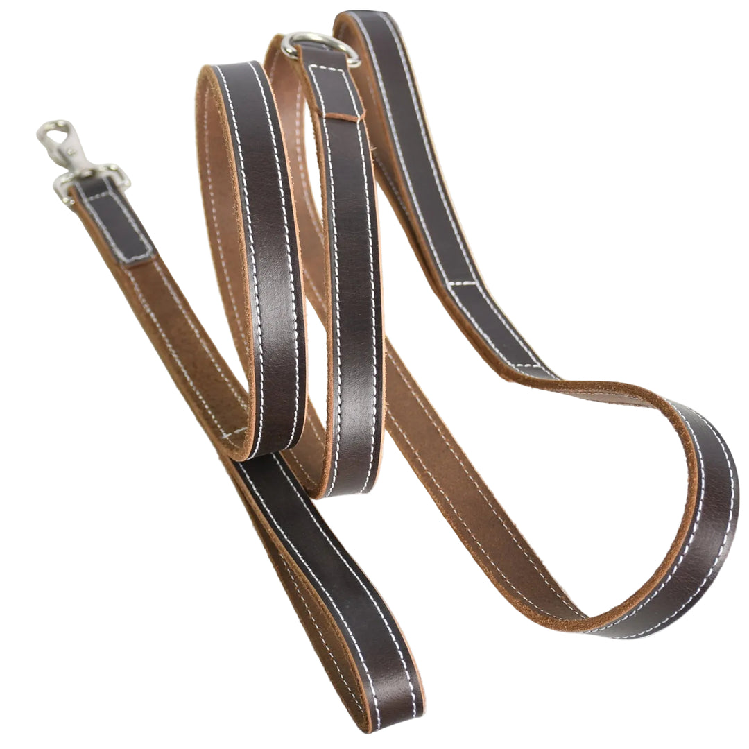 Brown leather dog leash with metal clip on a white background

