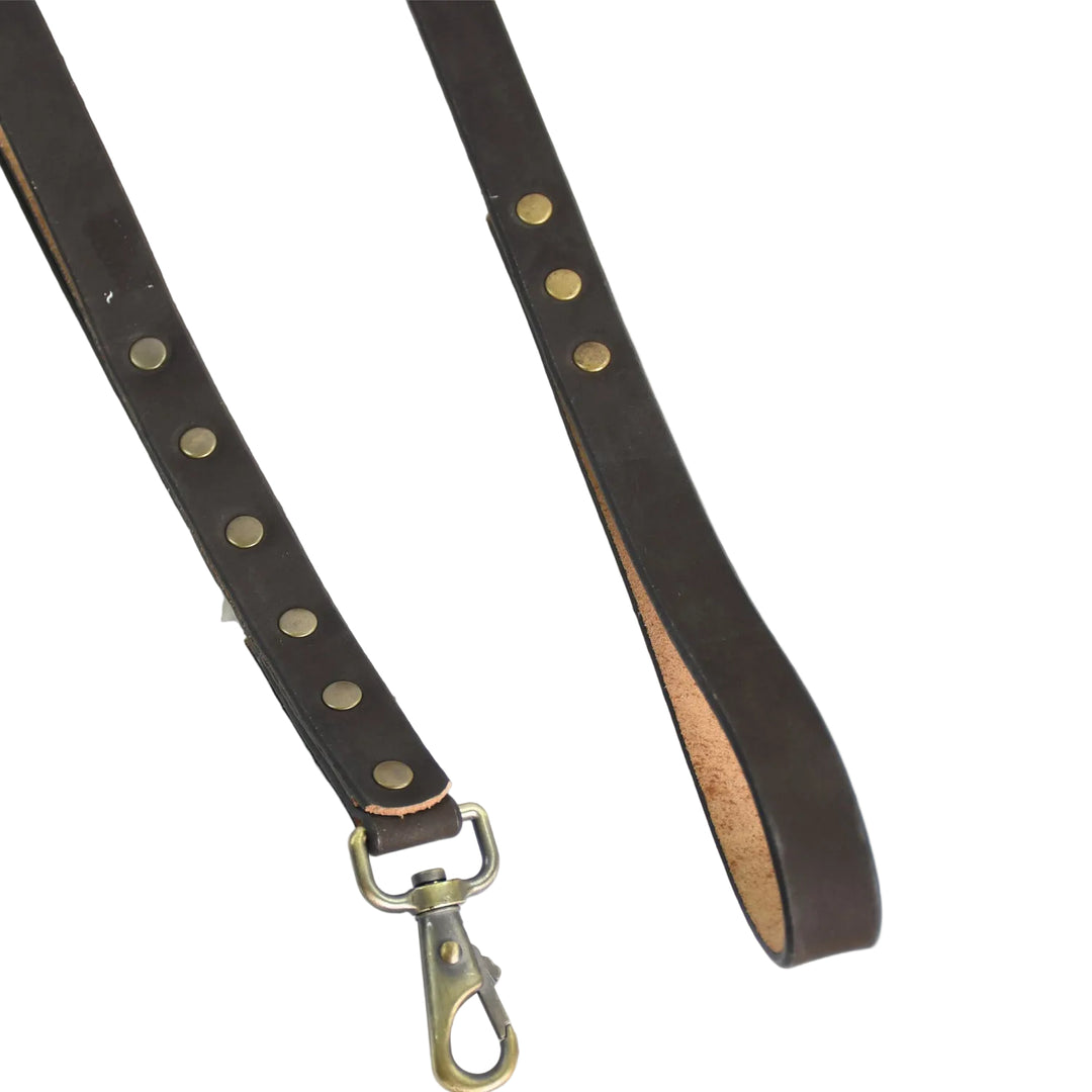 Brown leather belt with brass studs and clasp on a white background

