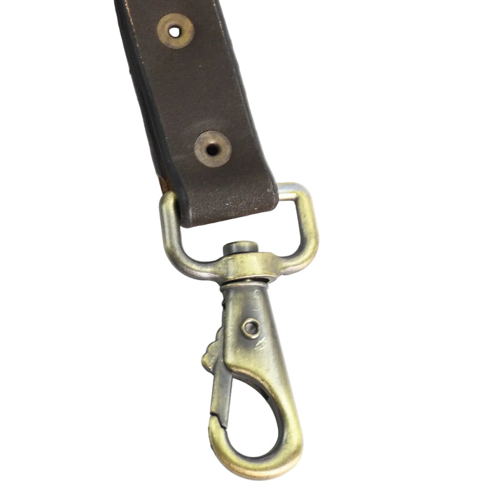 Brown leather strap with brass clasp on a white background

