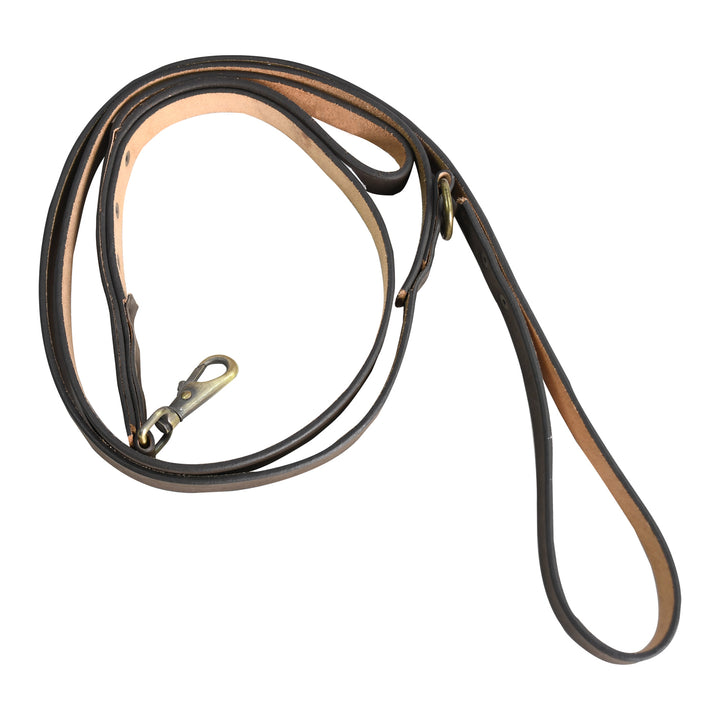 Brown leather dog leash with brass clasp on a white background

