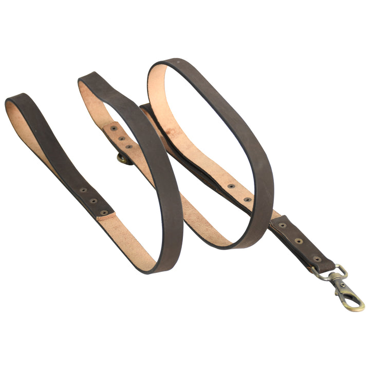 Brown leather dog leash with metal clasp on a white background

