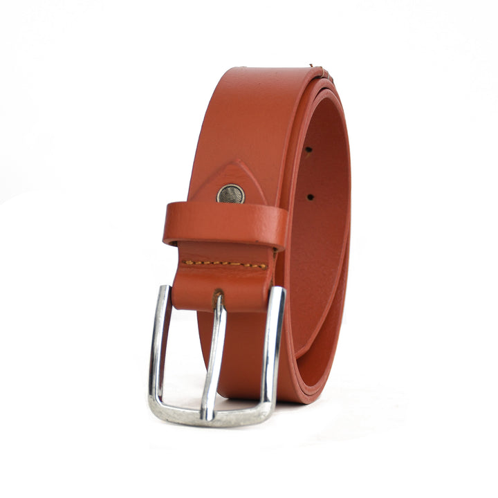 Brown leather belt with silver buckle on a white background