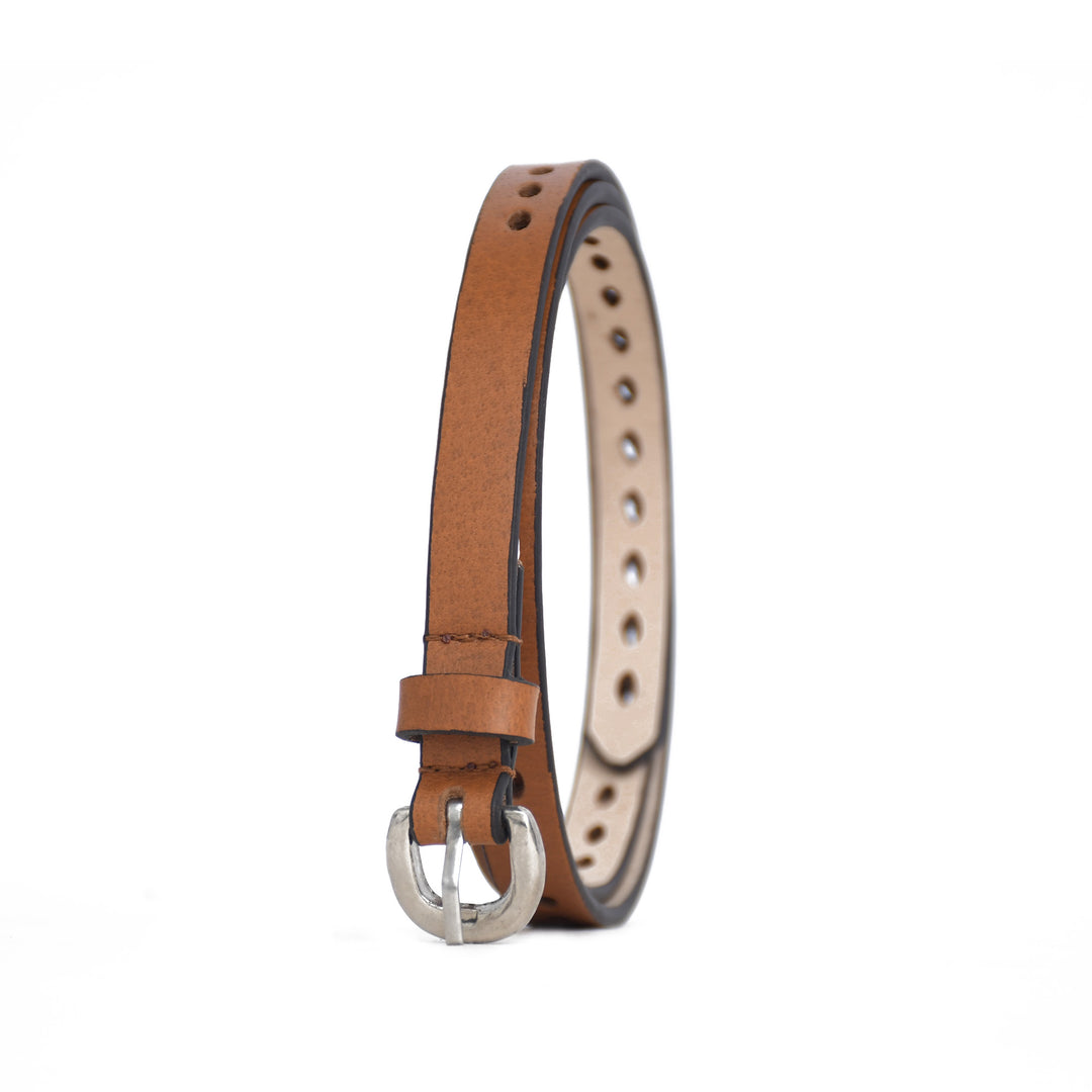 Brown leather belt with silver buckle on a white background