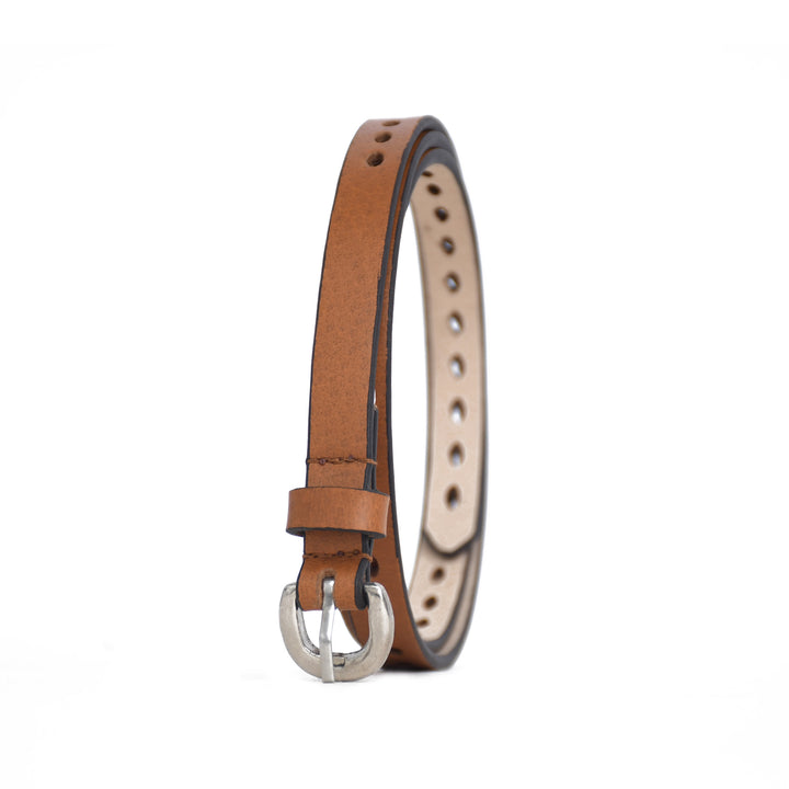 Brown leather belt with silver buckle on a white background