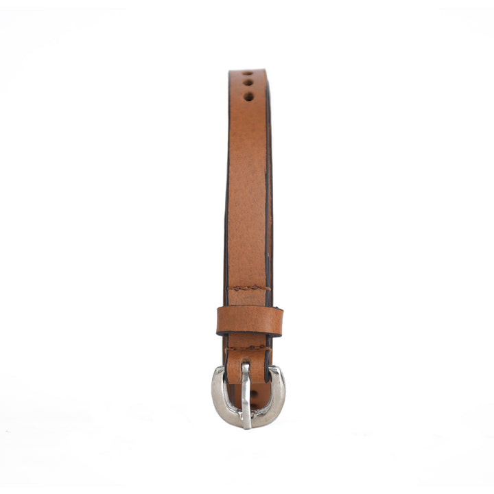 Brown leather belt with silver buckle on a white background