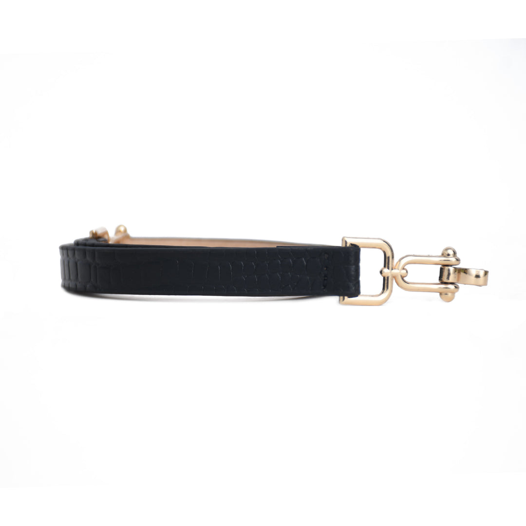 Black dog leash with gold clasp on a white background
