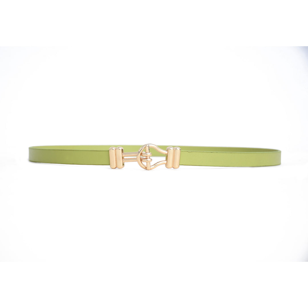Green belt with gold buckle on a white background