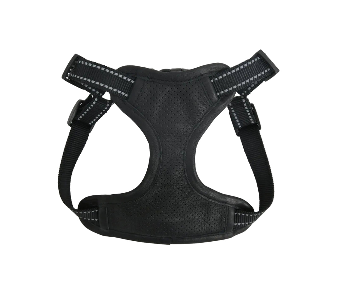 Black dog harness on a white background


