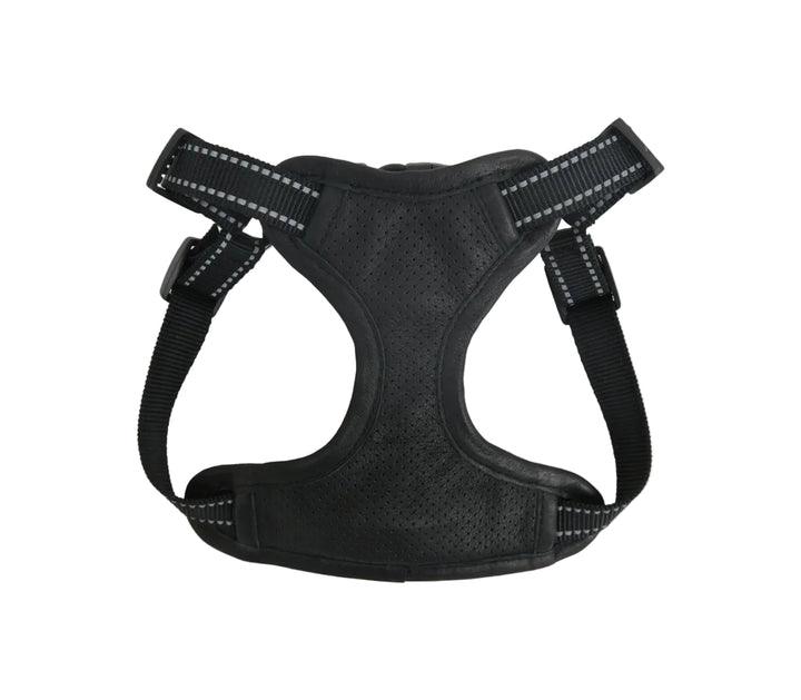 Black dog harness on a white background

