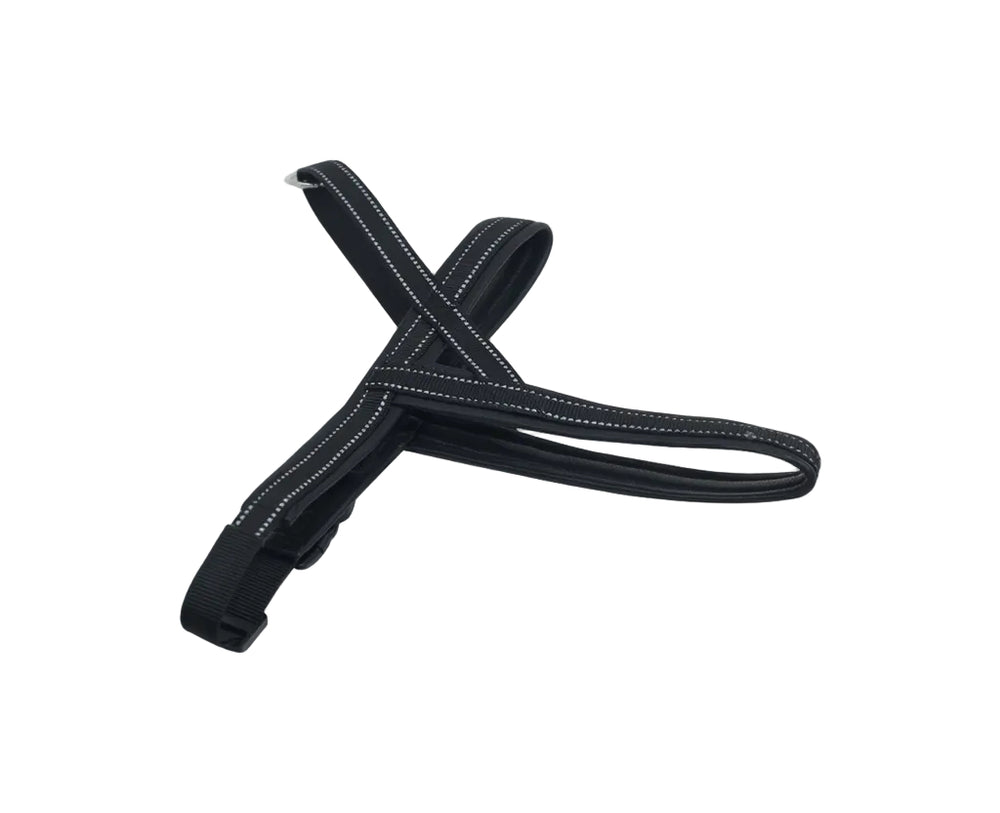 Black dog leash with reflective stripes on a white background

