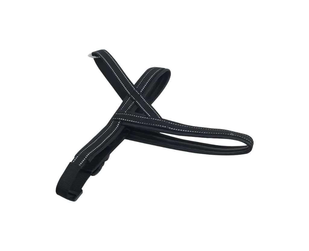 Black dog leash with reflective stripes on a white background

