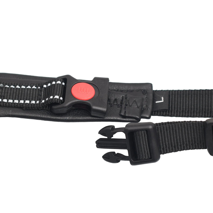 Black dog collar with a red button on a white background

