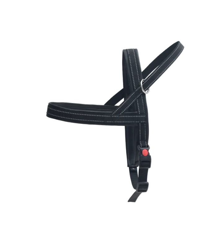 Black horse halter with a red buckle on a white background

