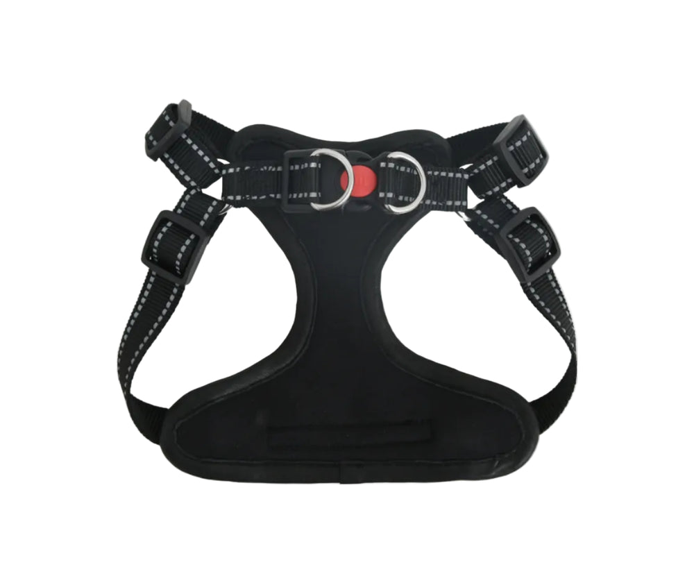 Black dog harness with red buckle on a white background

