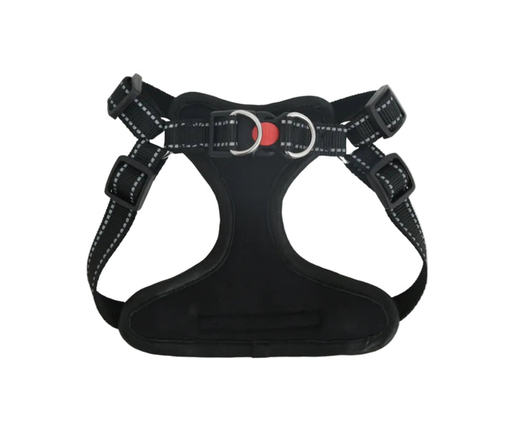 Black dog harness with red buckle on a white background

