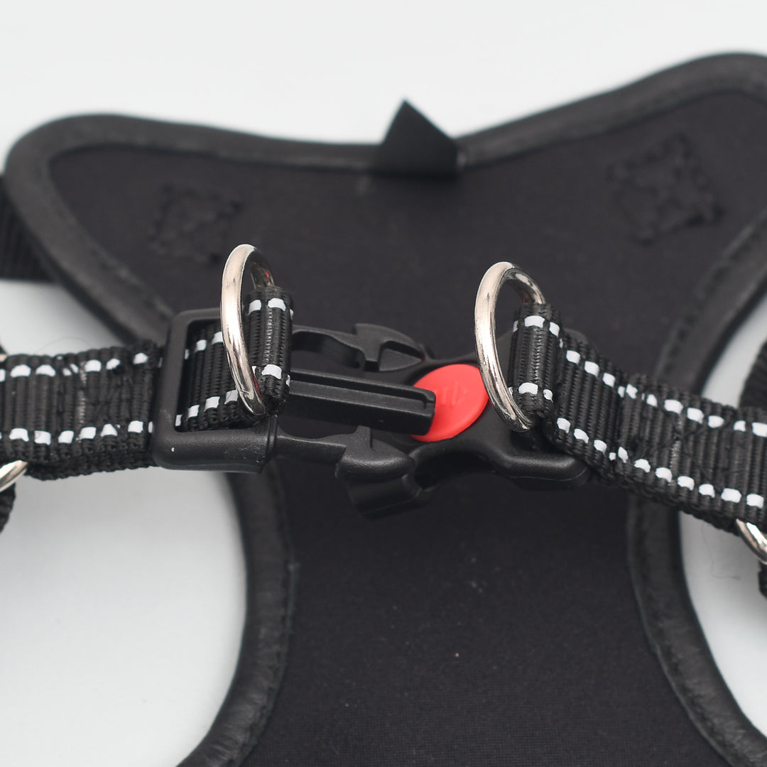 Close-up of a black dog harness with a red buckle on a white background


