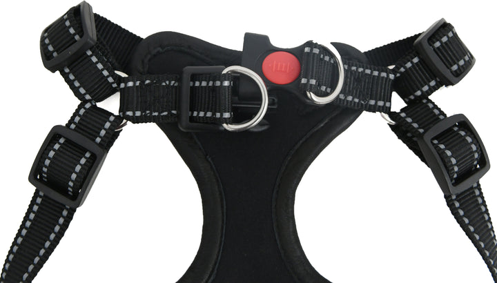Close-up of a black dog harness with a red buckle on a white background
