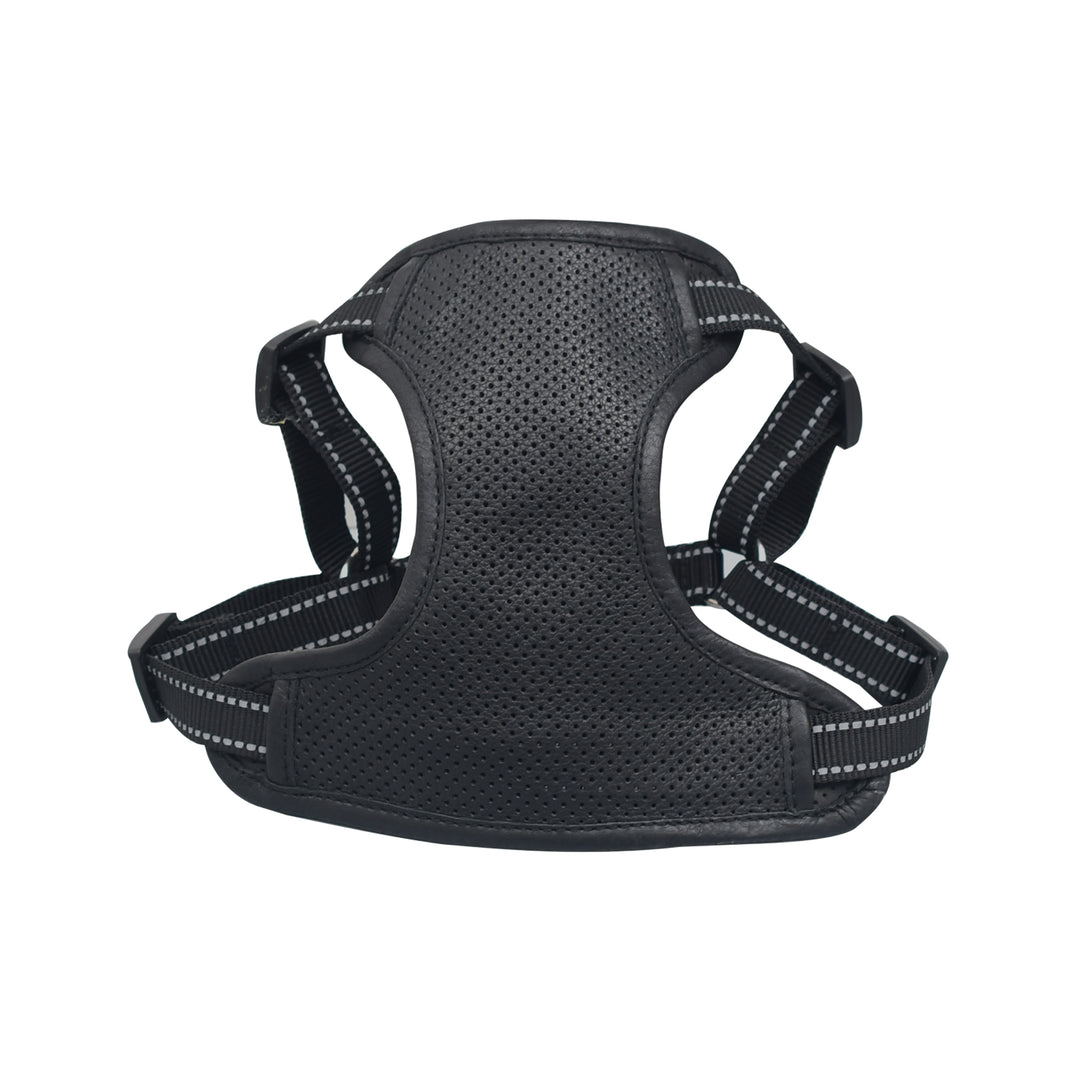 Black dog harness on a white background

