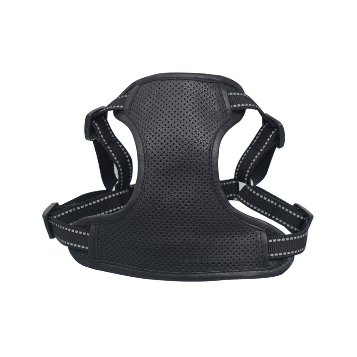 Black dog harness on a white background

