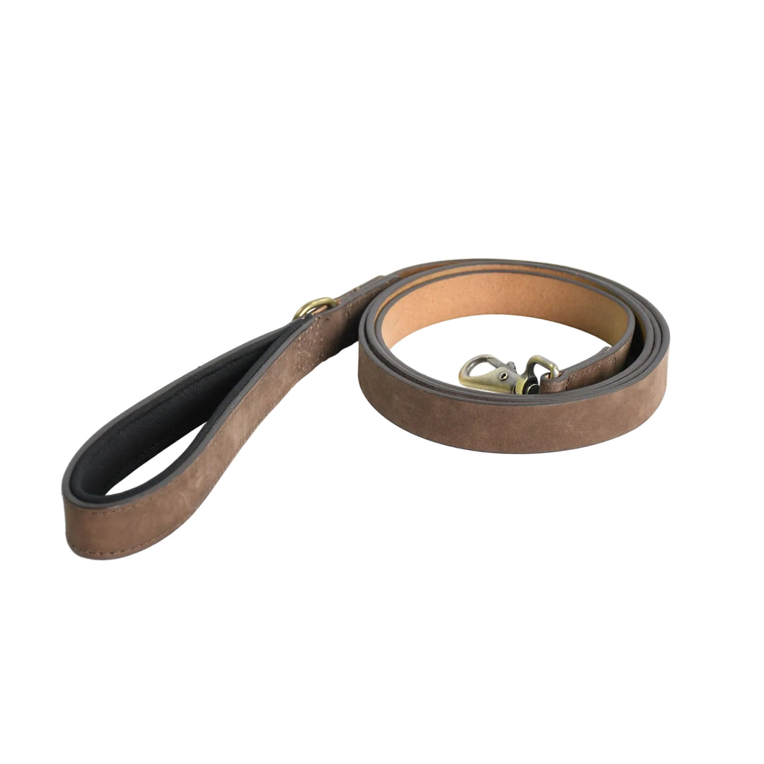 Brown leather dog leash on a white background


