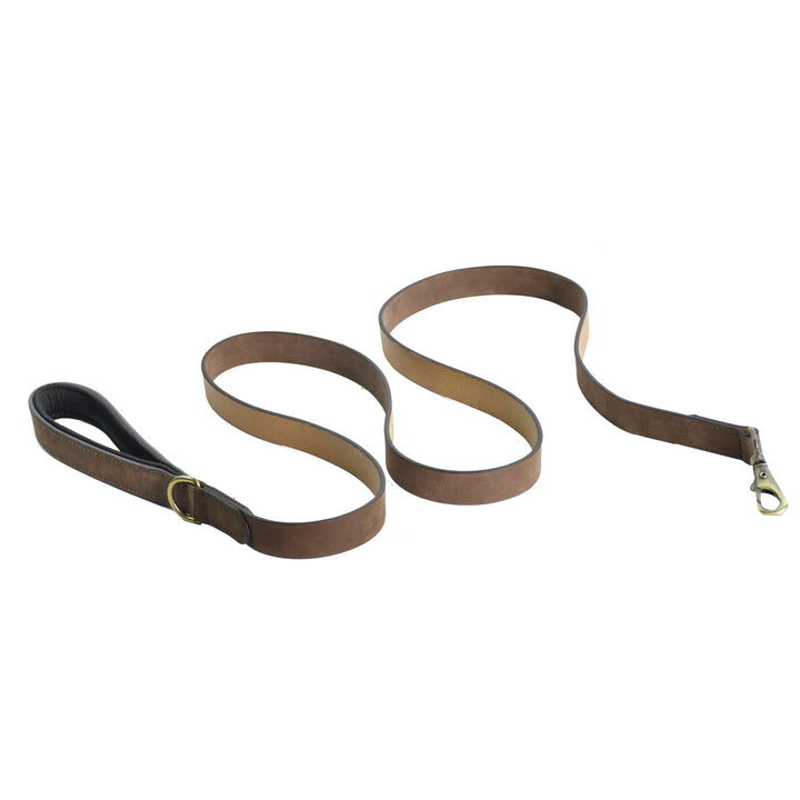 Brown leather dog leash with a metal clip on a white background

