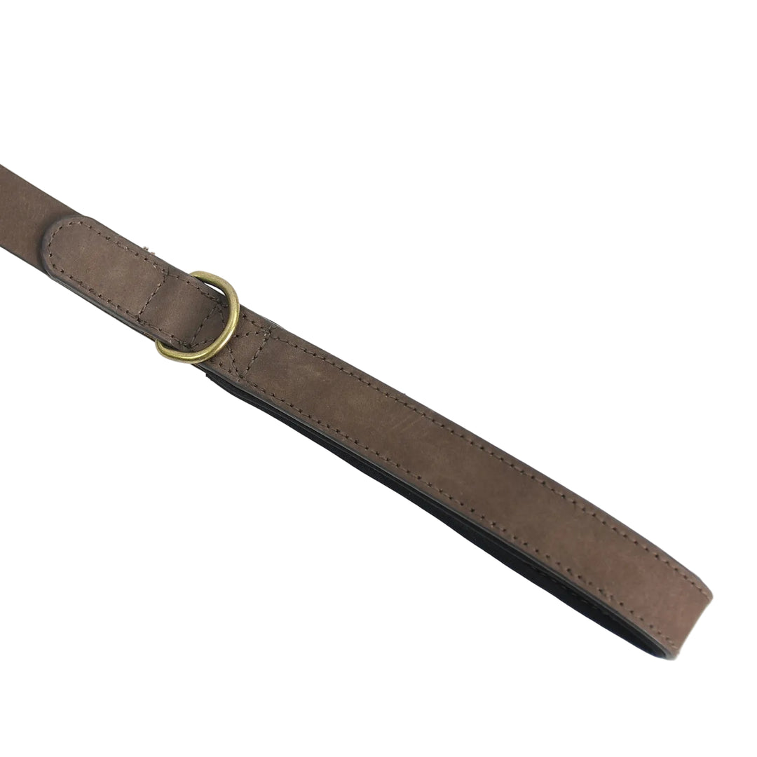 Brown belt with a gold buckle on a white background

