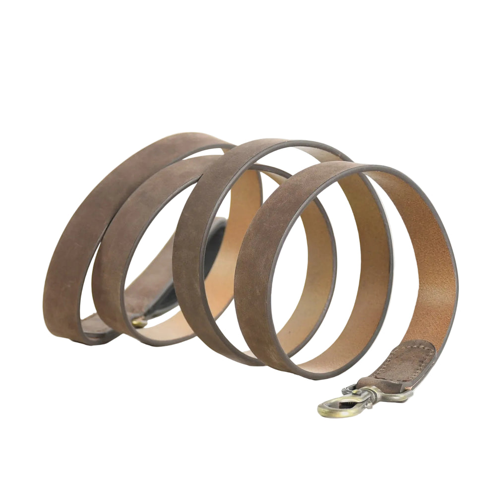 Brown leather dog leash with a metal clip on a light gray background

