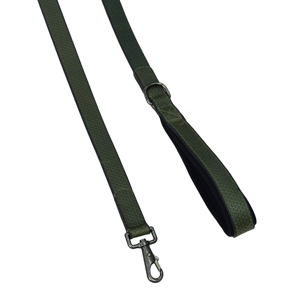 Green dog leash with metal clip on a white background

