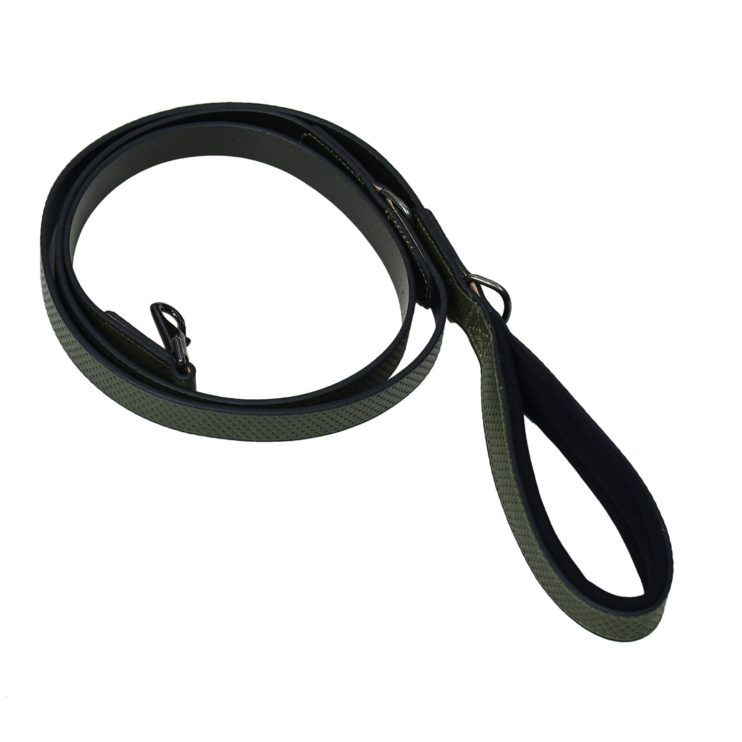 Black and green dog leash on a white background


