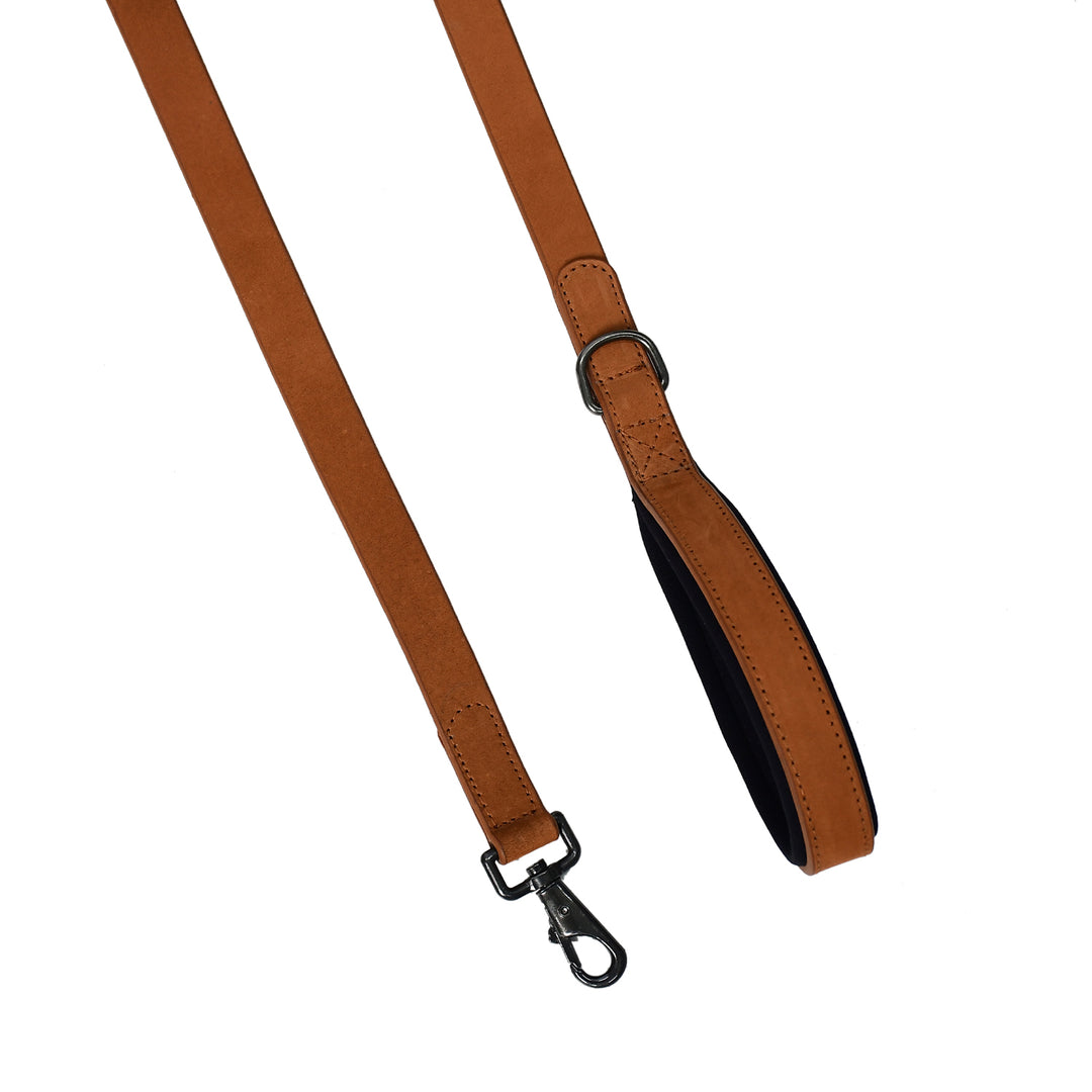 Brown leather strap with metal clip on a white background

