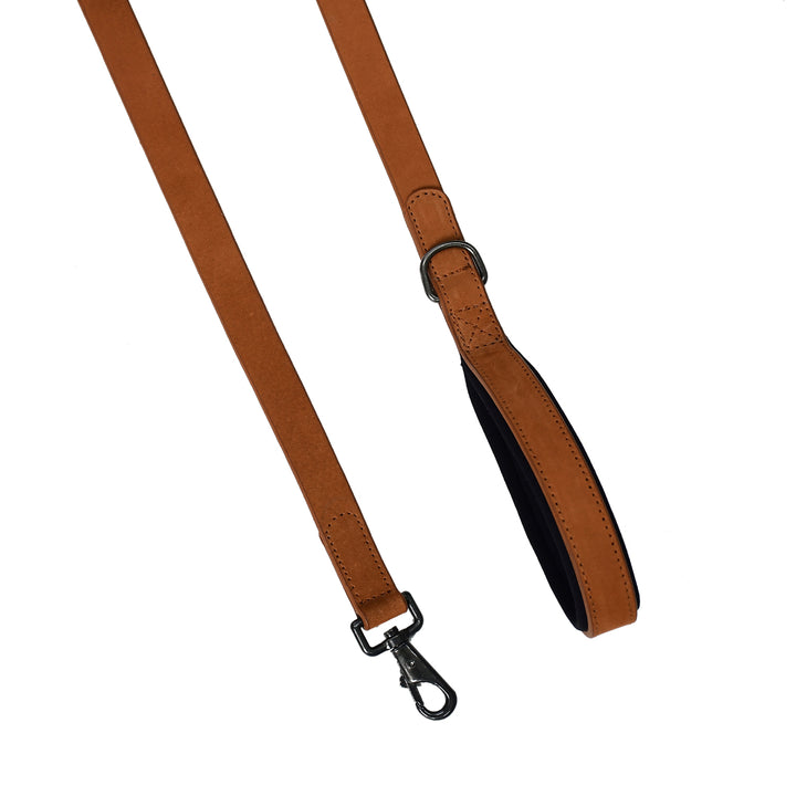 Brown leather strap with metal clip on a white background


