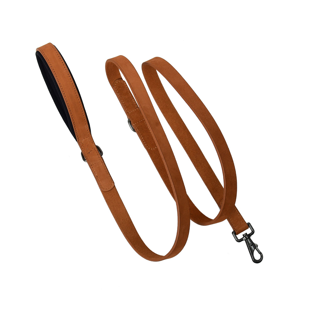 Brown leather dog leash with a metal clip on a white background

