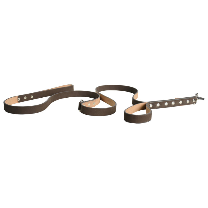 Brown leather dog collar with metal studs on a white background

