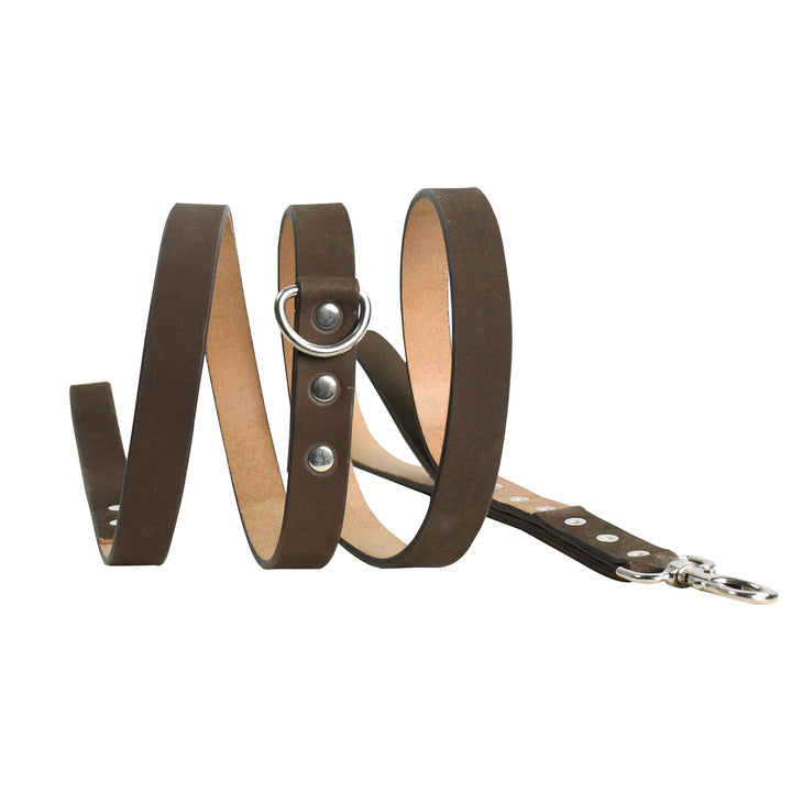 Brown leather dog leash with metal clips on a white background

